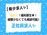 株式会社アリスの森 住宅型有料老人ホーム　アリスの家 中村の常勤(夜勤あり)・介護職(ケアスタッフ)・有料老人ホーム求人イメージ